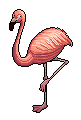File:Flamingo.png