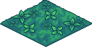 Forest Floor.png