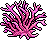 File:Pink Staghorn Coral.png