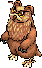 Bear Owl.png