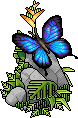 File:Exoticbutterfly.png