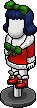 Mrs Claus Outfit.png