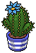 File:Aquamarine Crown Cactus.png