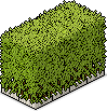 File:Maze shrub.gif