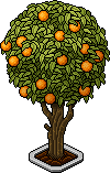 Eco tree orange.gif
