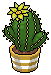 File:Lemon Crown Cactus.png