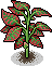 File:Easter c22 redtippedplant.png