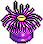 Neon Anemone.png
