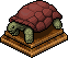 Brown Tortoise.png