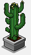 File:Mature cactus.png