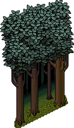 Haunted Forest.gif
