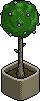 File:Classic9 plant.png
