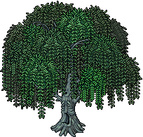 File:Weeping Willow.png
