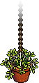File:Hanging Plant.png