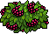 File:Raspberry Bush.png