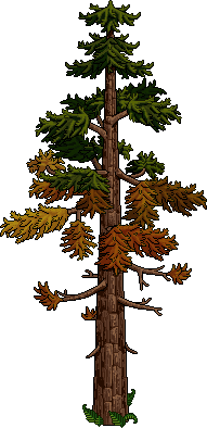 File:Autumn c20 tree4.png