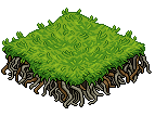 Thai c21 rootedgrass.png