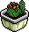 File:Eco cactus 1.gif
