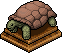 File:Beige Tortoise.png